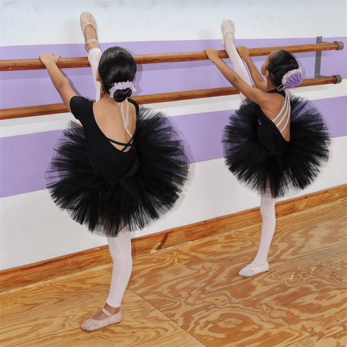 Instagram La Casa de la Danza